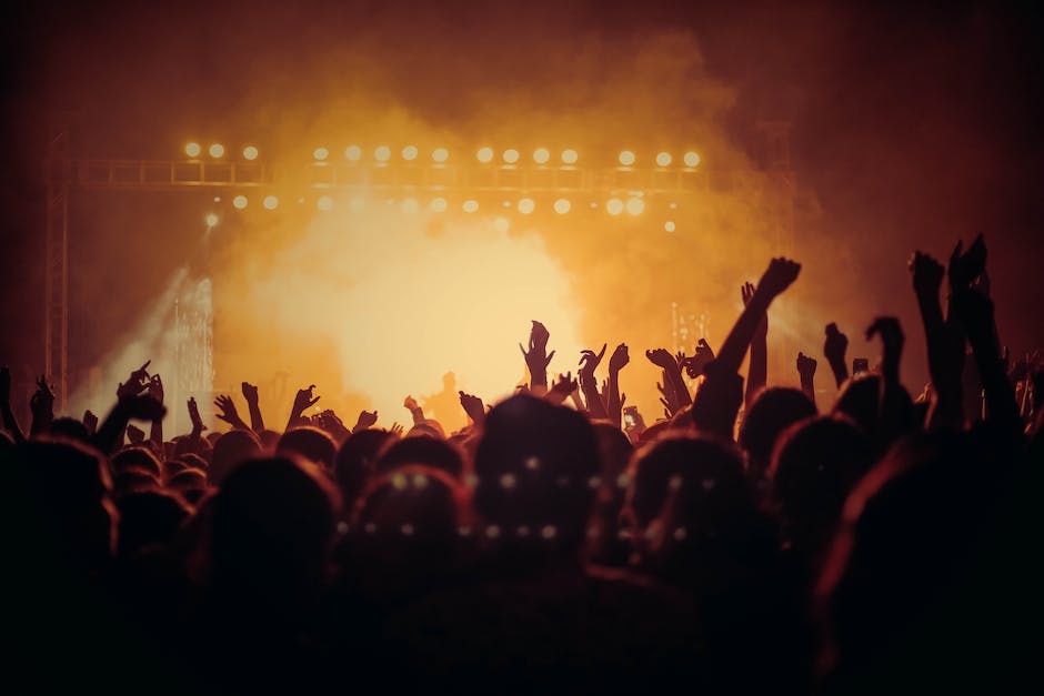 Illustration of a photographer capturing a live music concert amidst a chaotic crowd and dynamic lighting conditions